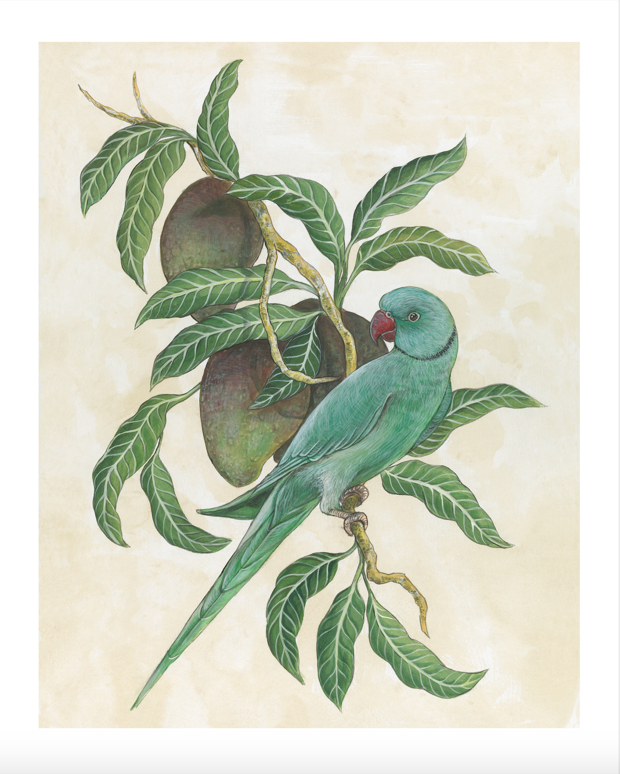 Original Art Prints